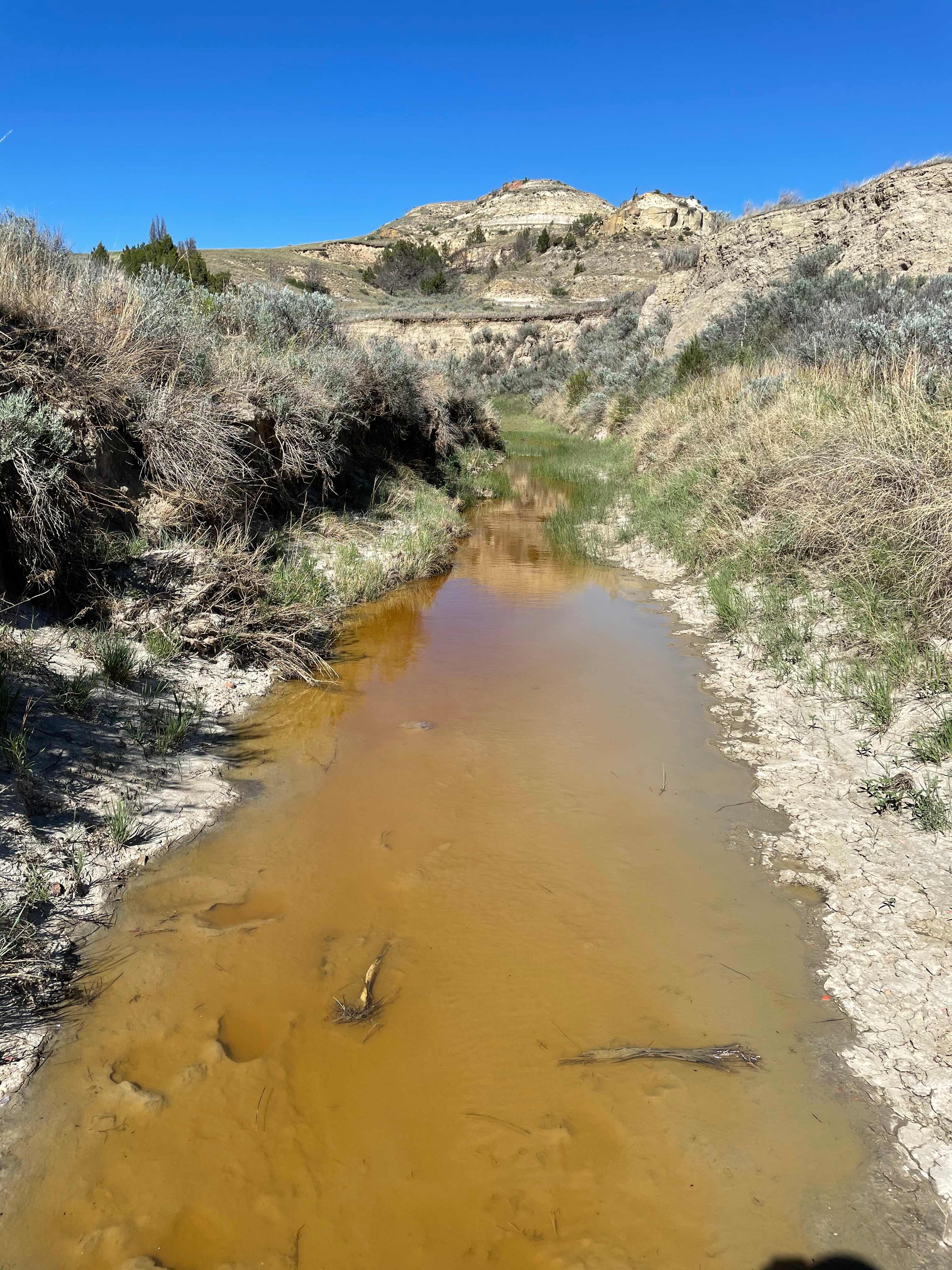 Theodore Roosevelt NP